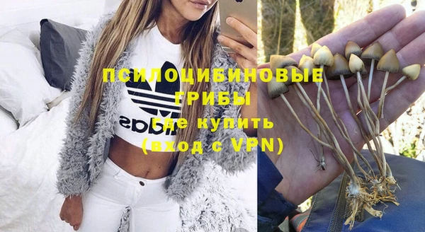 mix Алексин