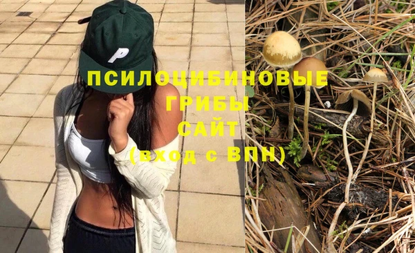 меф Алексеевка